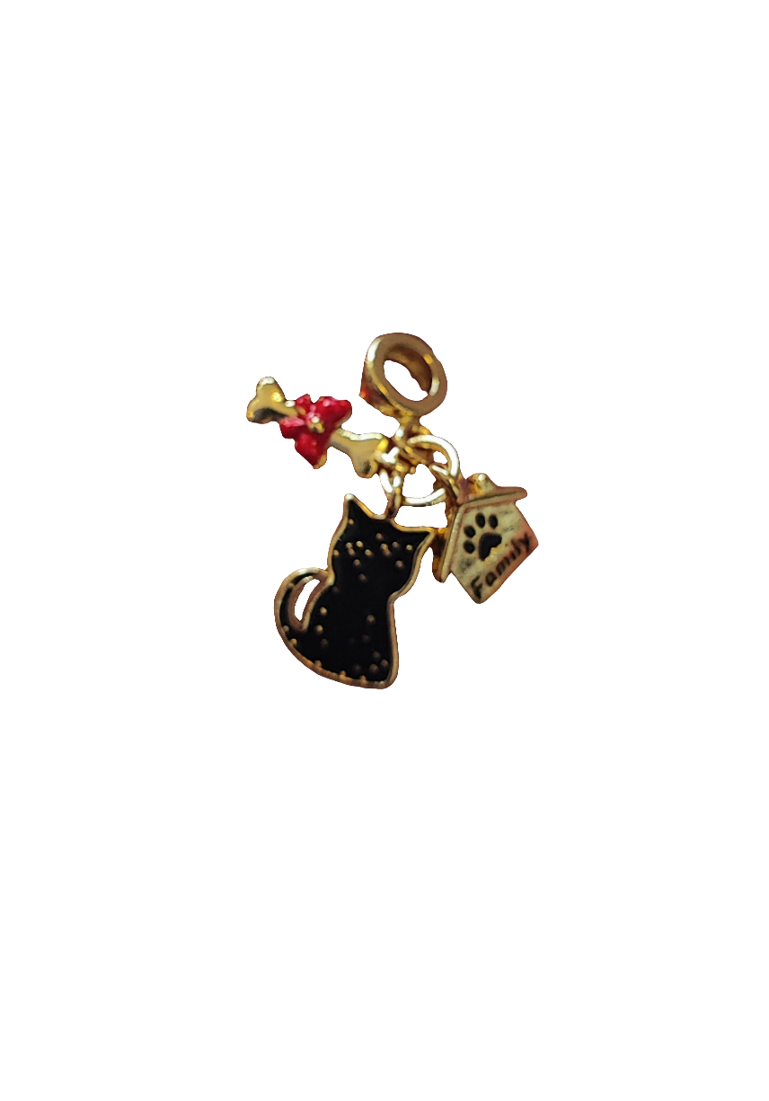 CHARM GATITO