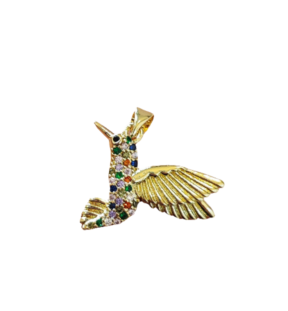 COLIBRI DE COLORES
