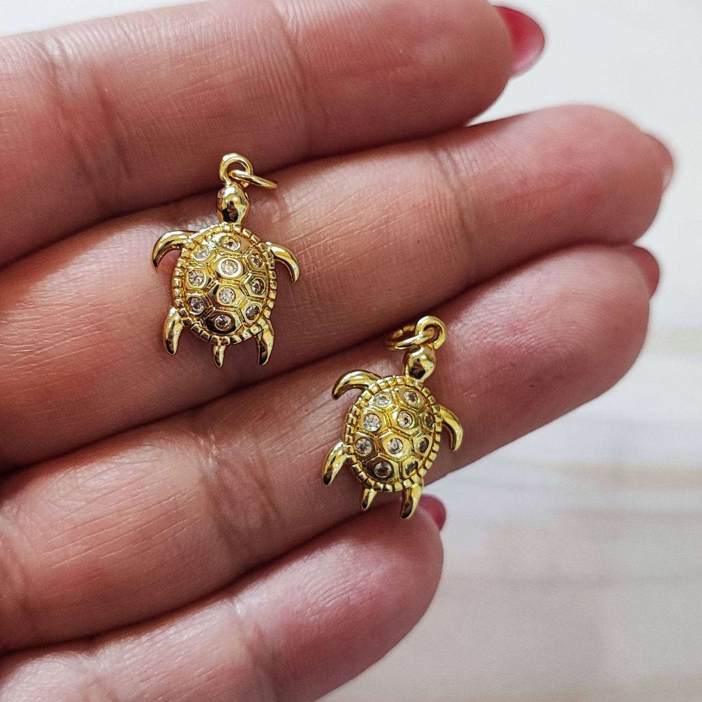 TORTUGA